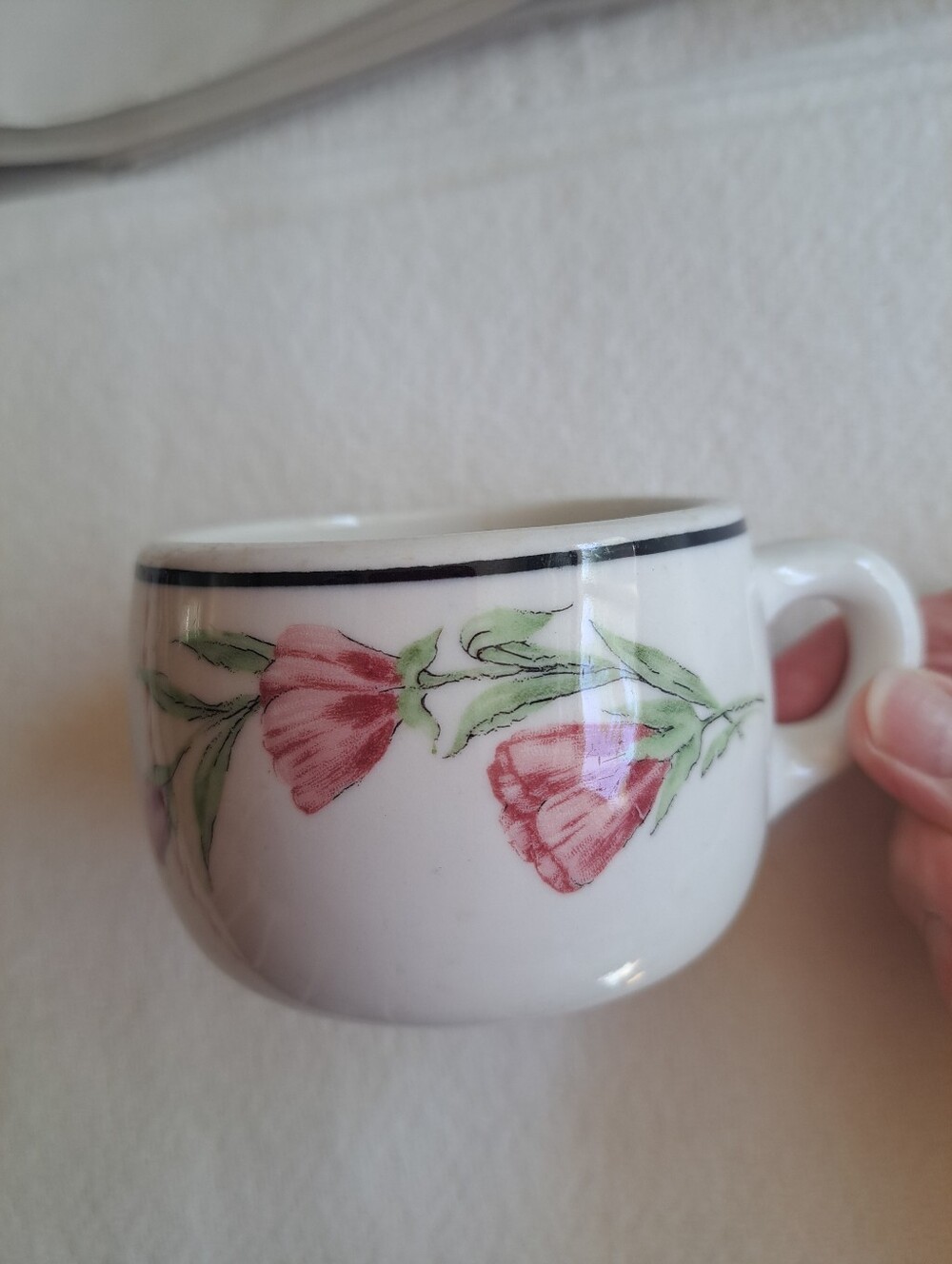Vtg Syracuse O.P.C.O Prairie Mountain Wildflowers Southern Pacific Lines Cup